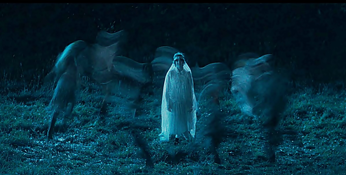 Pisan Jelen donosi zanimljivu pjesmu i spot Kraj kola